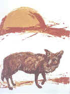 Texas Red Wolf.jpg (42545 bytes)